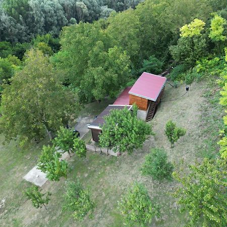 Odmor Za Dusu I Tijelo U Srcu Prirode Villa Aljmaš Exterior foto