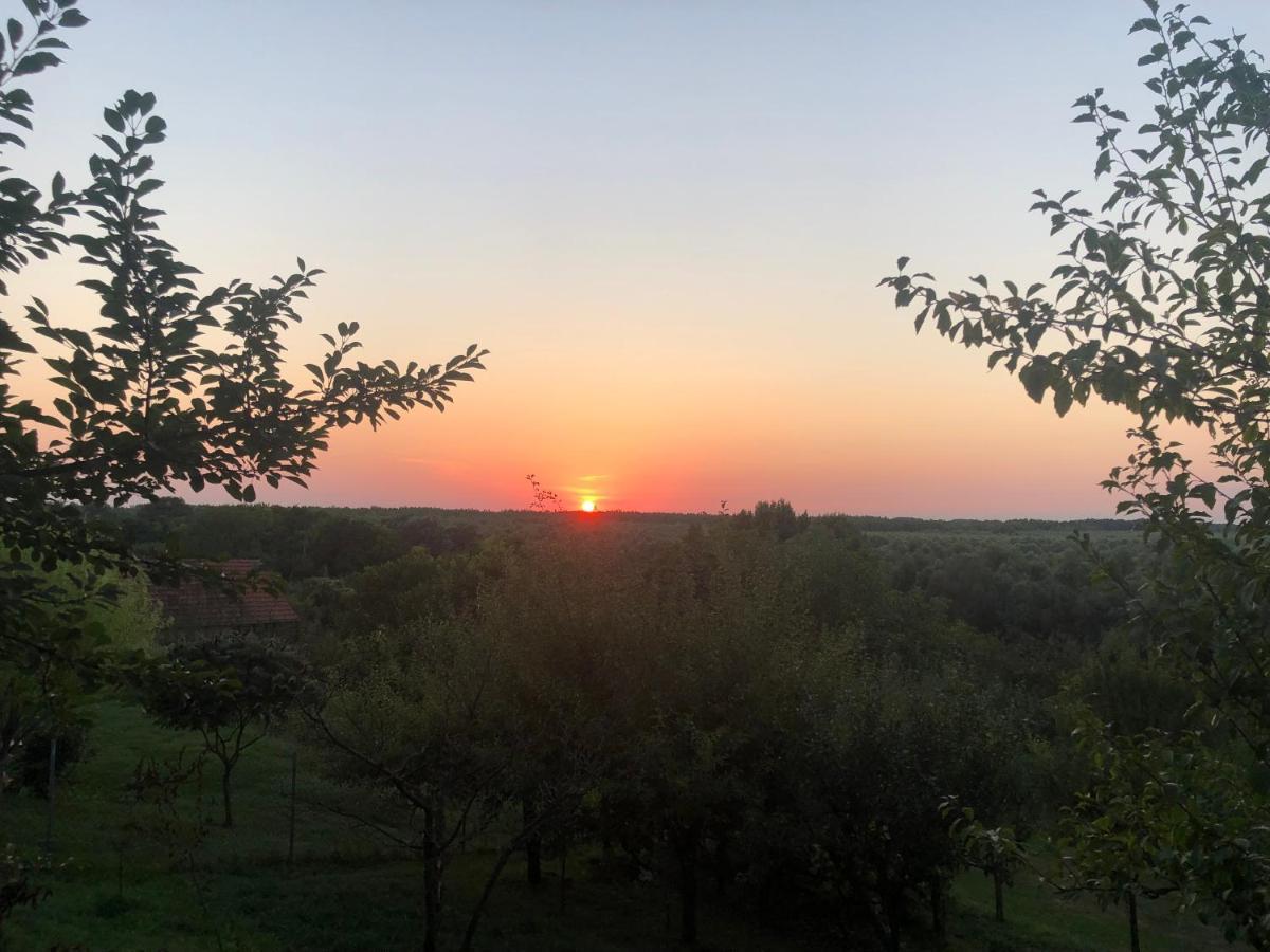 Odmor Za Dusu I Tijelo U Srcu Prirode Villa Aljmaš Exterior foto