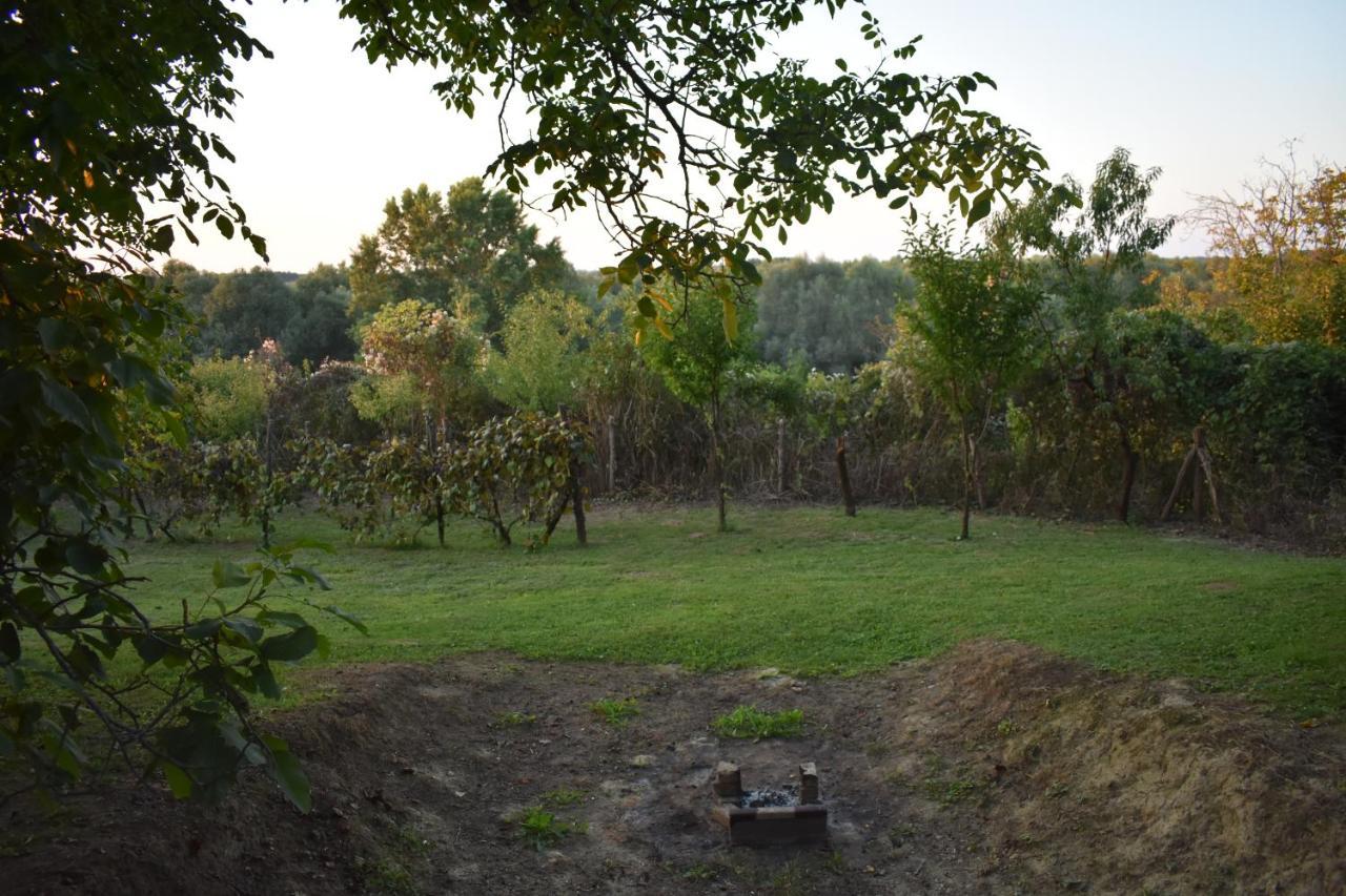 Odmor Za Dusu I Tijelo U Srcu Prirode Villa Aljmaš Exterior foto