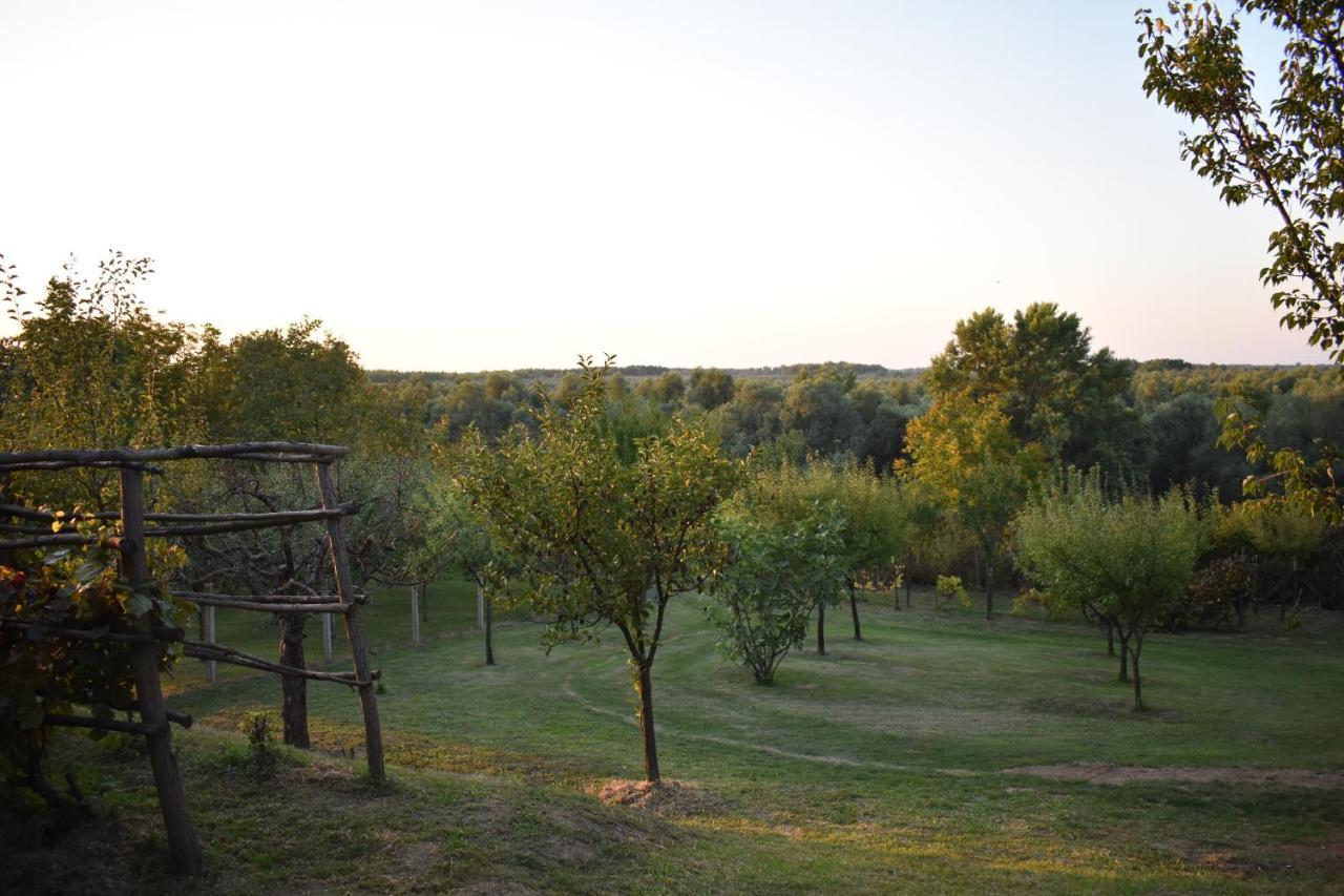 Odmor Za Dusu I Tijelo U Srcu Prirode Villa Aljmaš Exterior foto