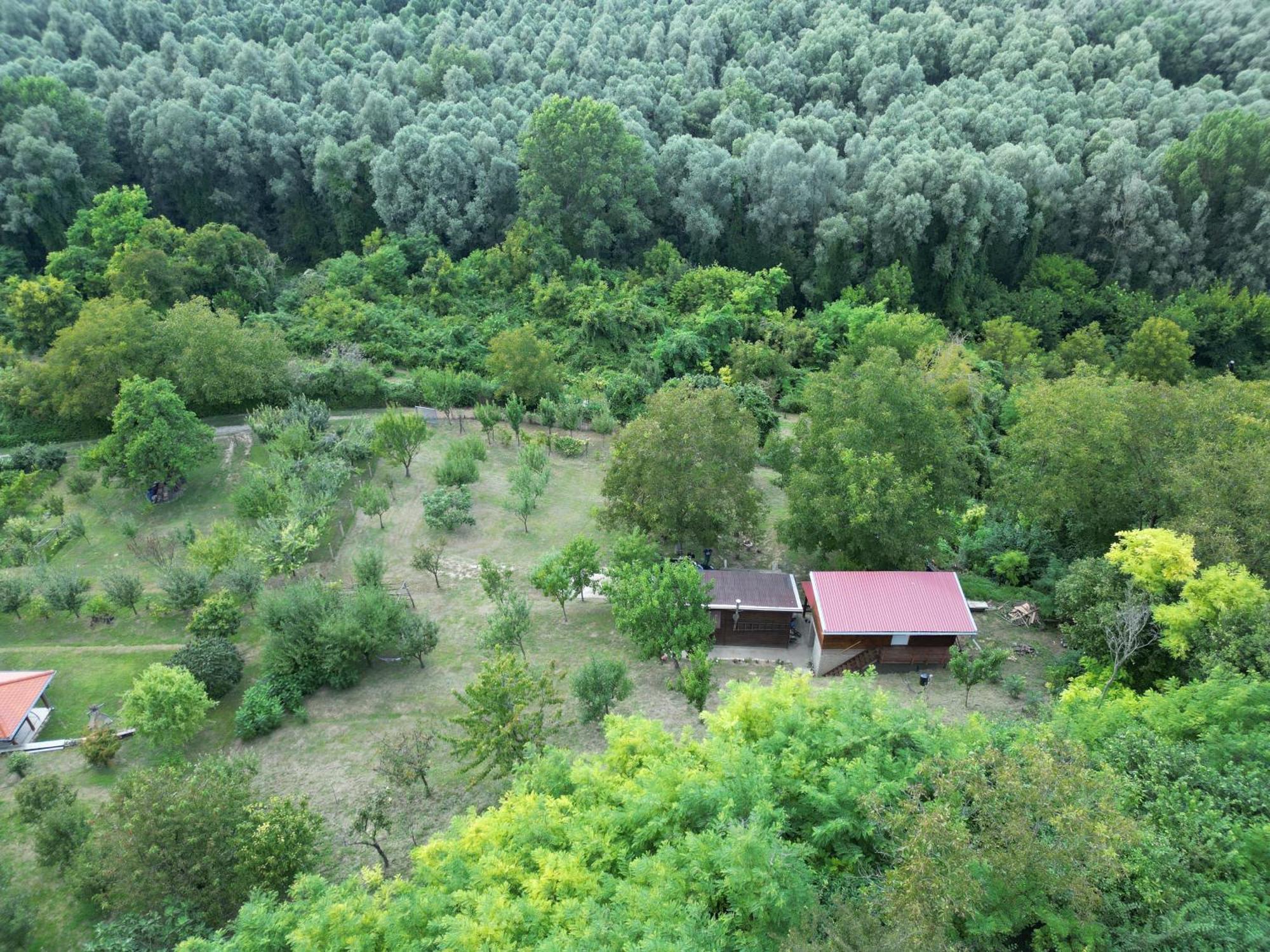 Odmor Za Dusu I Tijelo U Srcu Prirode Villa Aljmaš Exterior foto