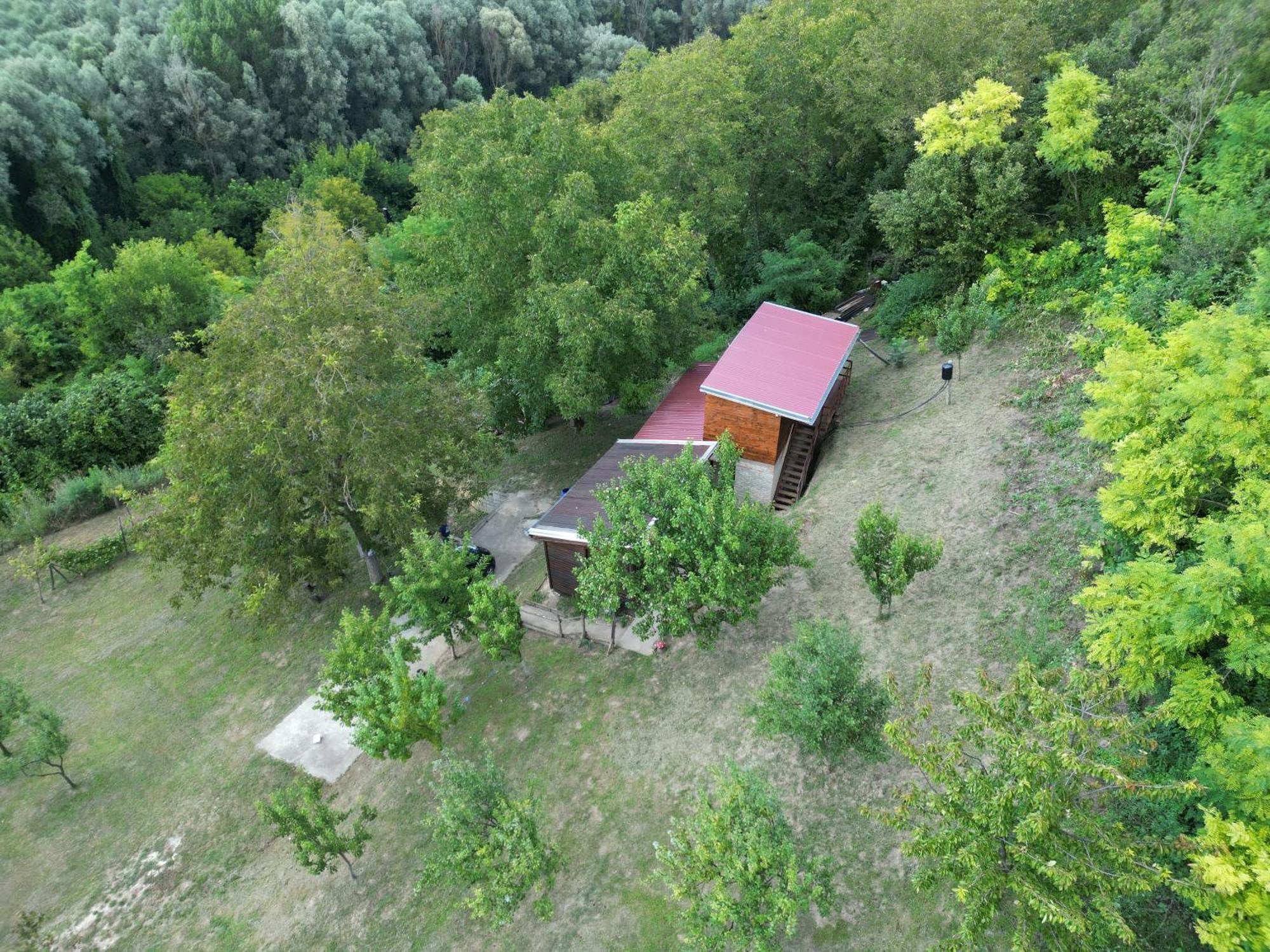 Odmor Za Dusu I Tijelo U Srcu Prirode Villa Aljmaš Exterior foto