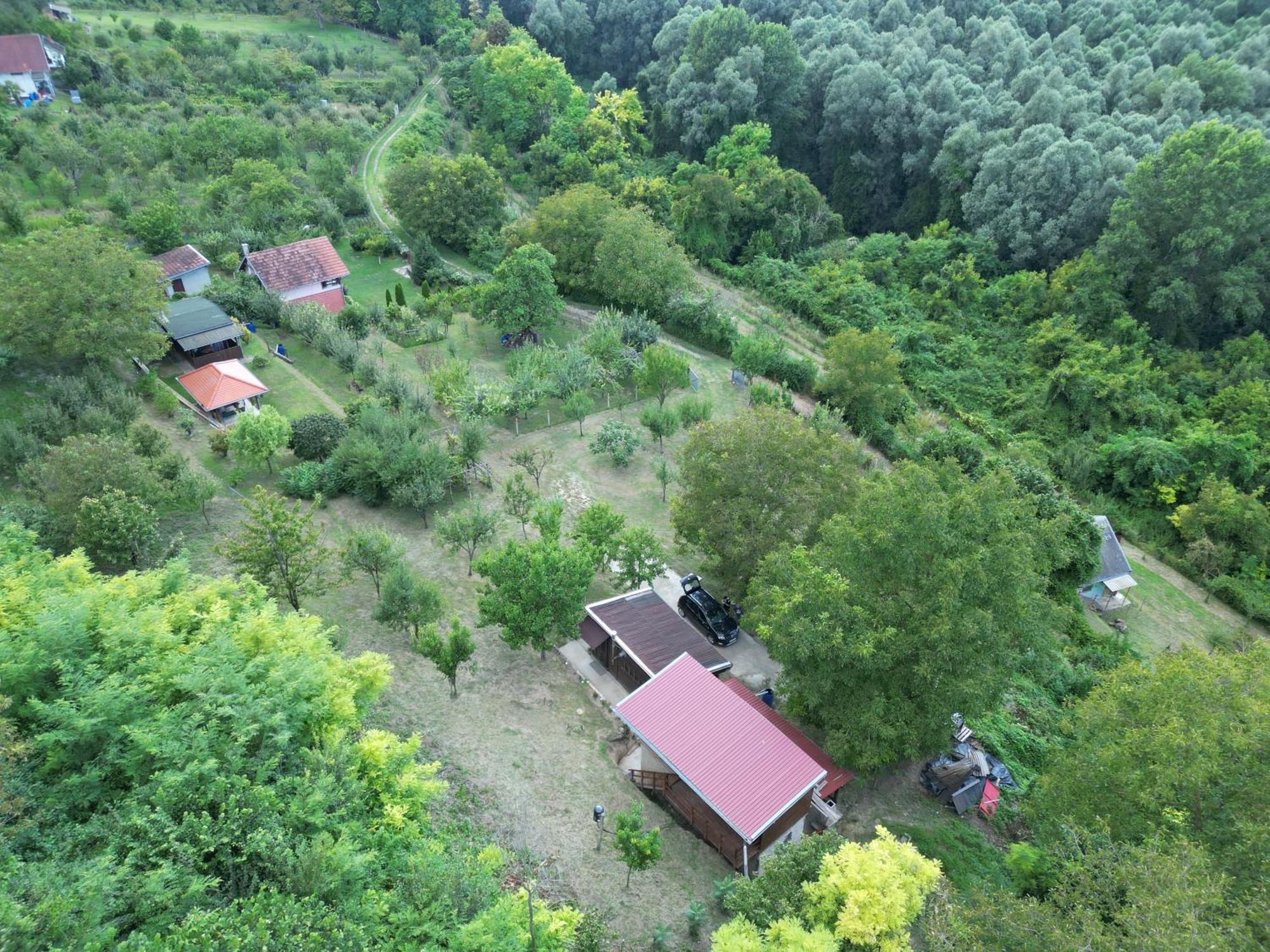 Odmor Za Dusu I Tijelo U Srcu Prirode Villa Aljmaš Exterior foto